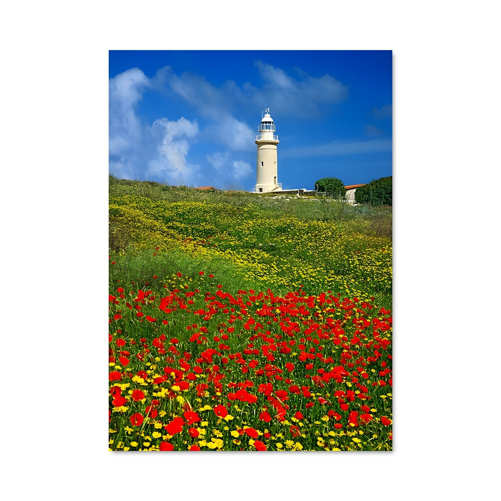 Poster Lumières de Paphos