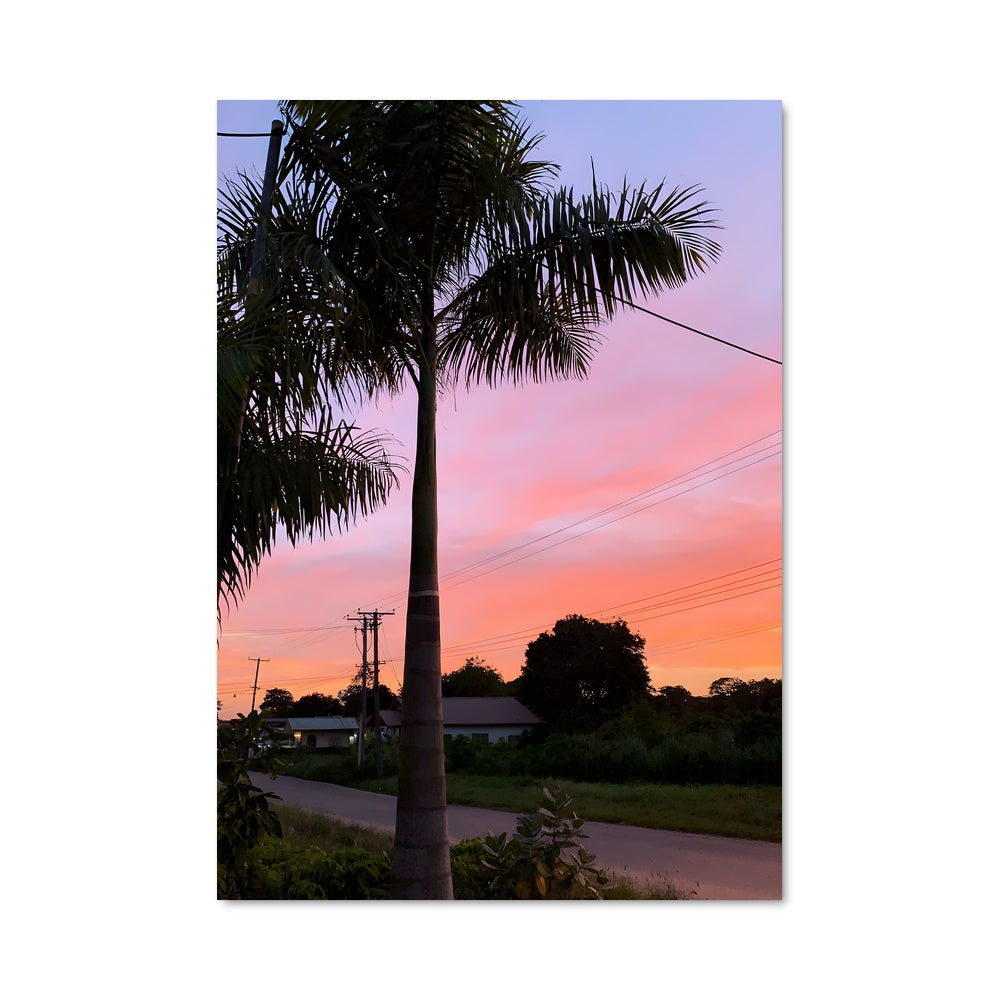 Poster Palmier Égaré