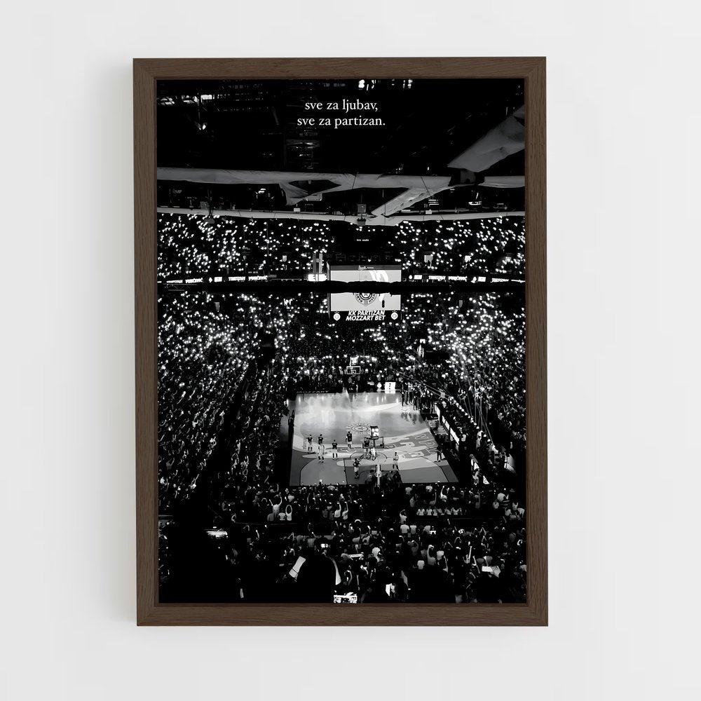 ap-partizan belgrade basketball-5 cadre Bois foncé