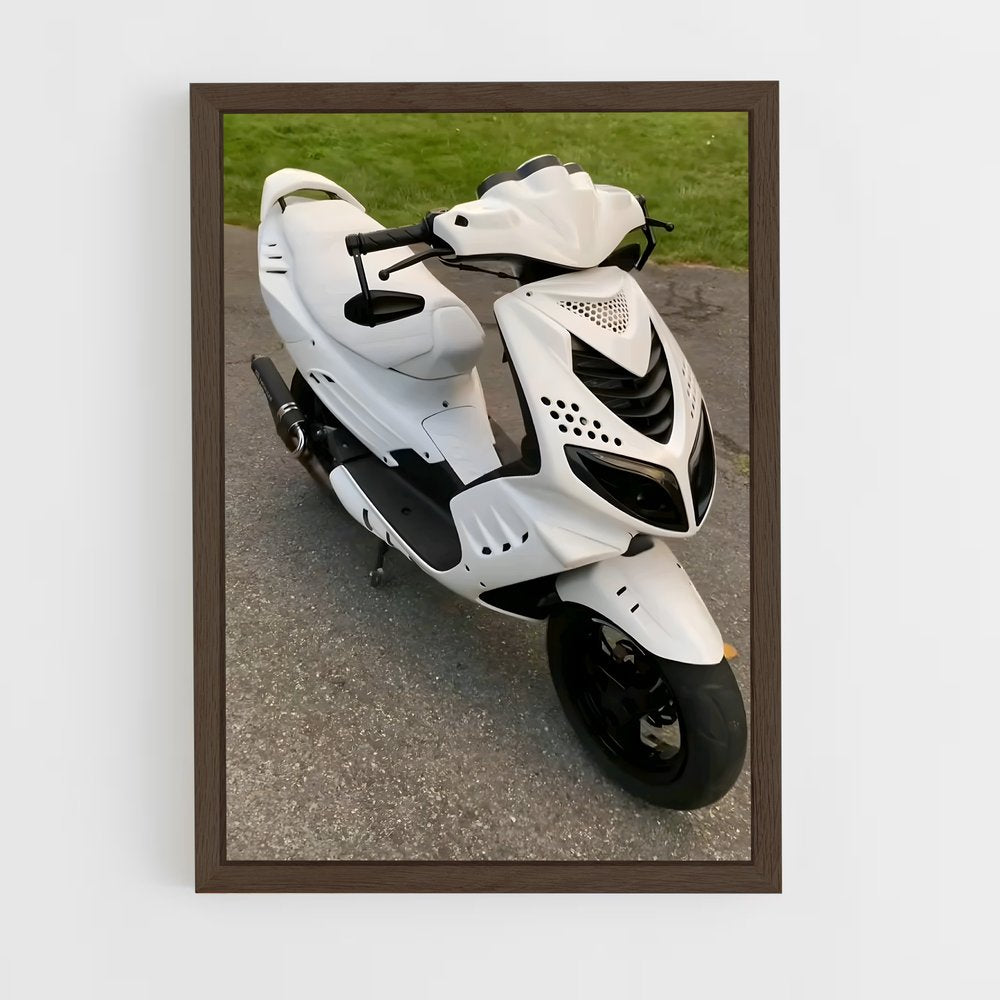 ap-peugeot speedfight-1 cadre Bois foncé