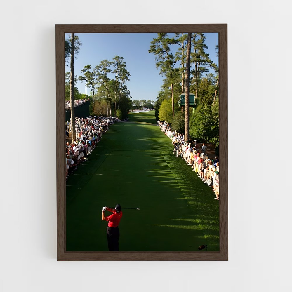 ap-pga tour-1 cadre Bois foncé