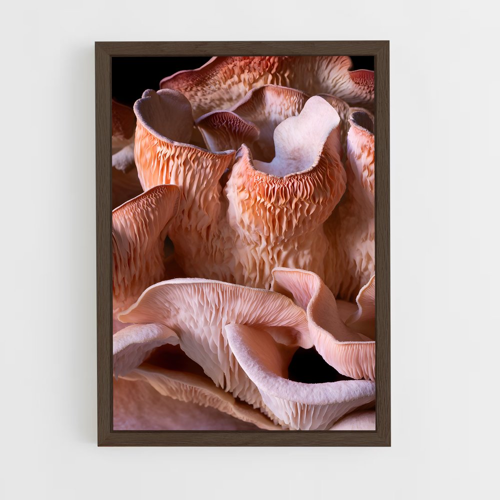 ap-pink oyster-2 cadre Bois foncé