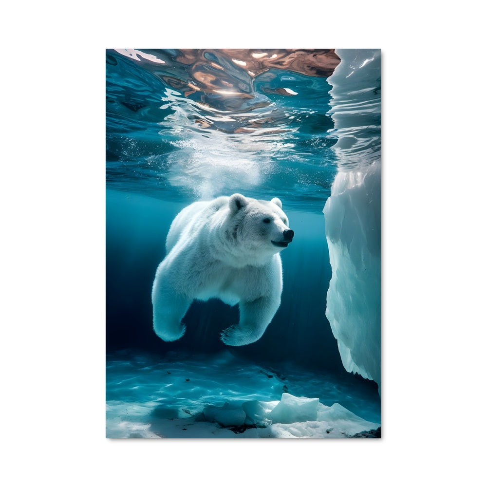 Poster L'Ombre Arctique