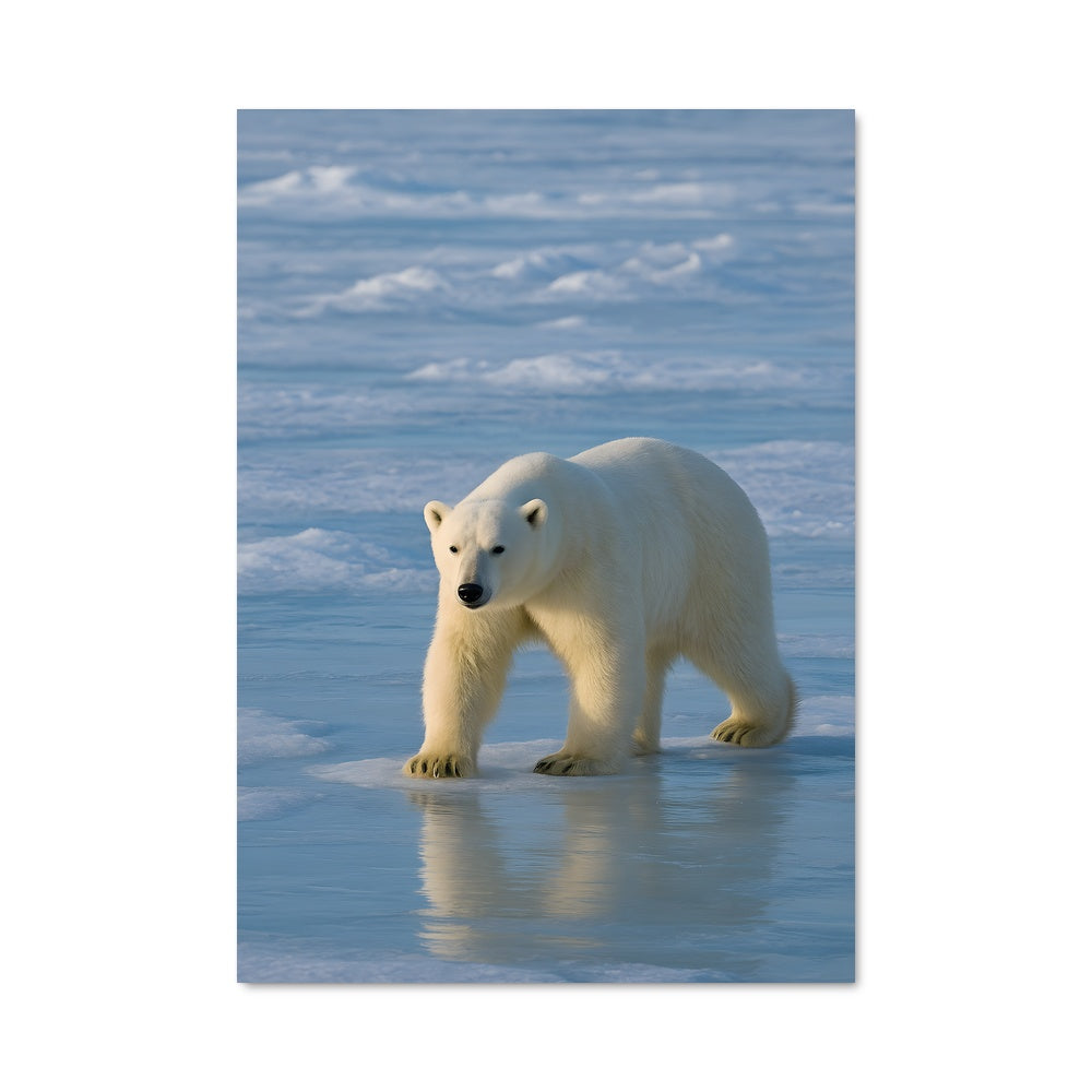 Poster Tranquillité Arctique