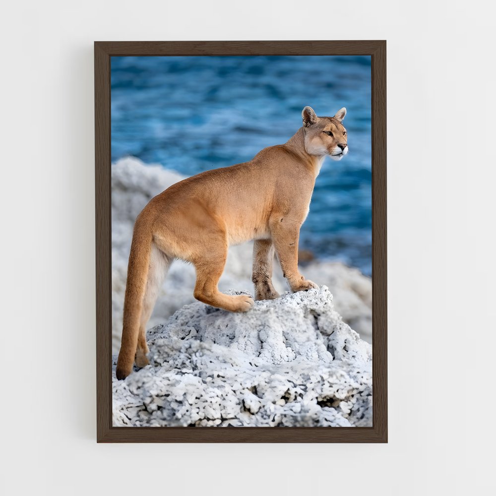 ap-puma-22 cadre Bois foncé