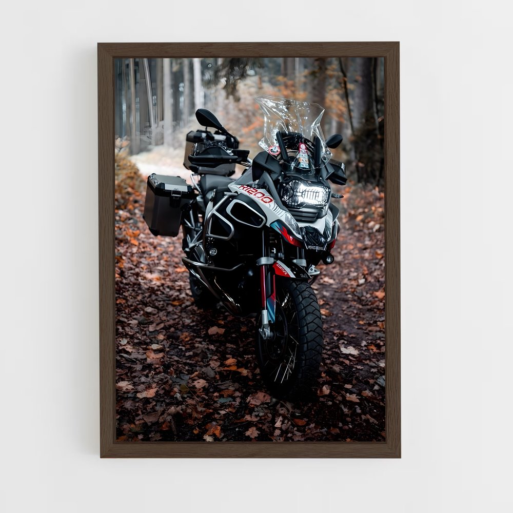 ap-r 1200 gs-1 cadre Bois foncé