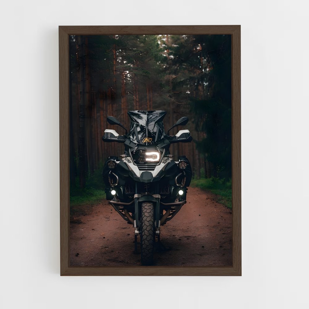 ap-r 1200 gs-2 cadre Bois foncé