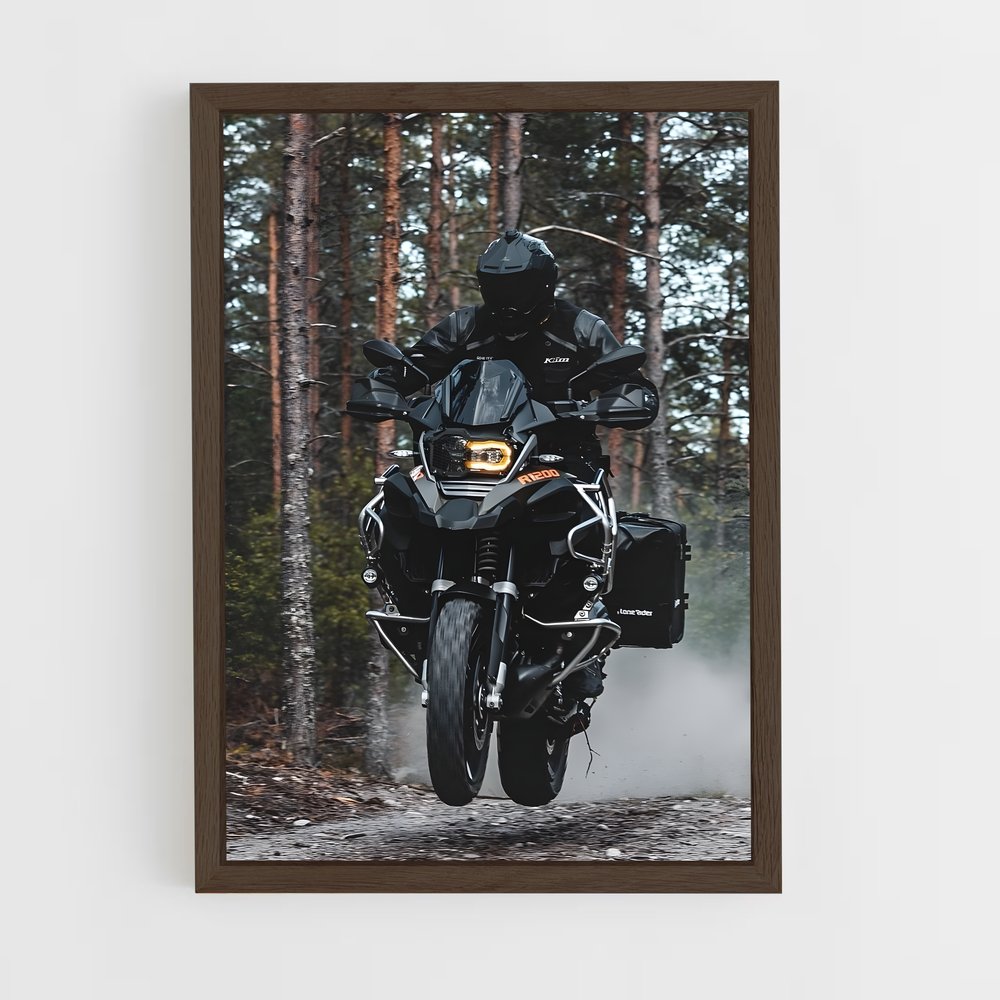 ap-r 1250 gs-3 cadre Bois foncé