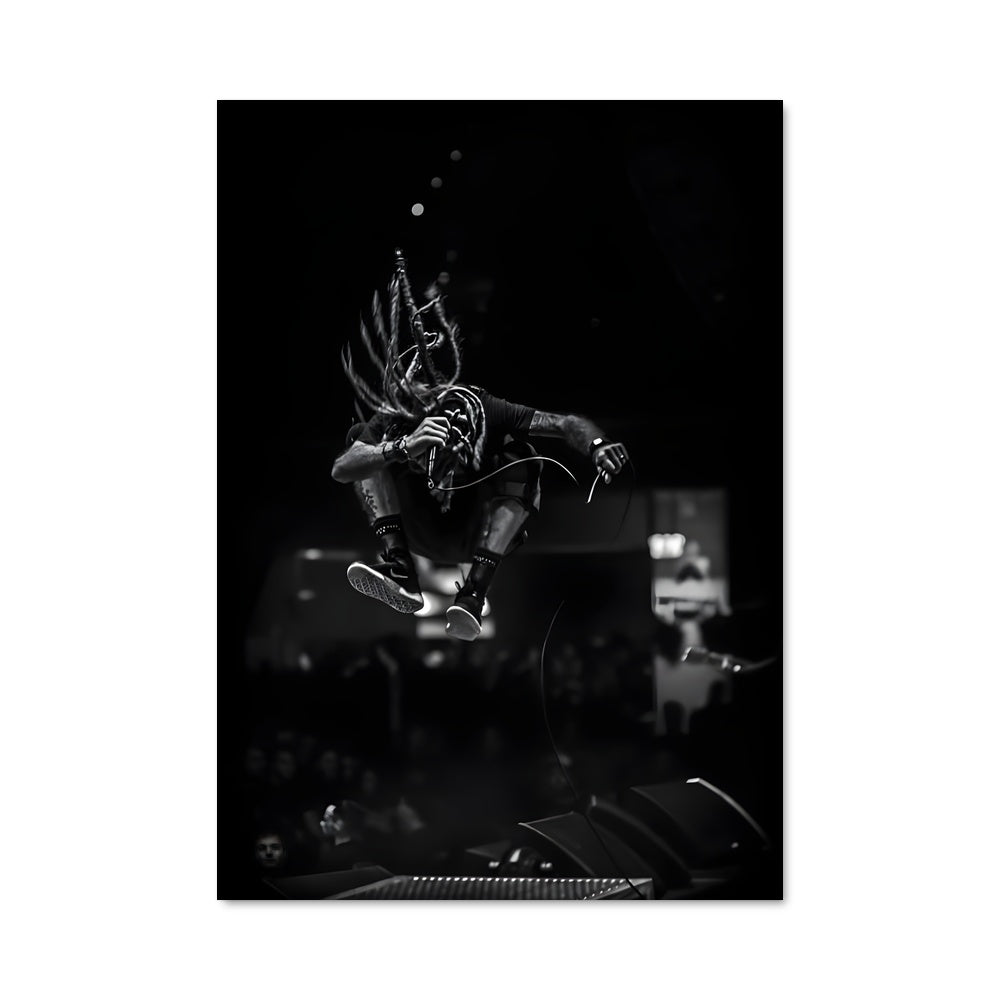 Poster Airborne Tricks
