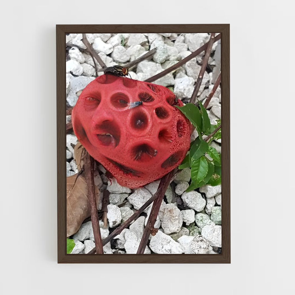 ap-red cage fungus-3 cadre Bois foncé