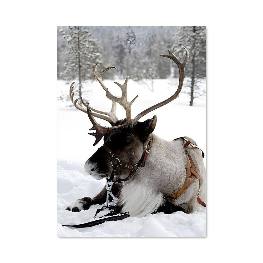 Poster Rêve d'Hiver