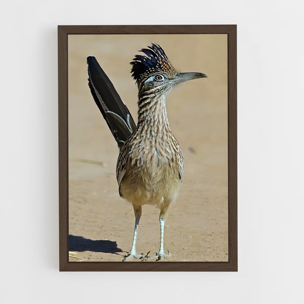 ap-roadrunner-3 cadre Bois foncé