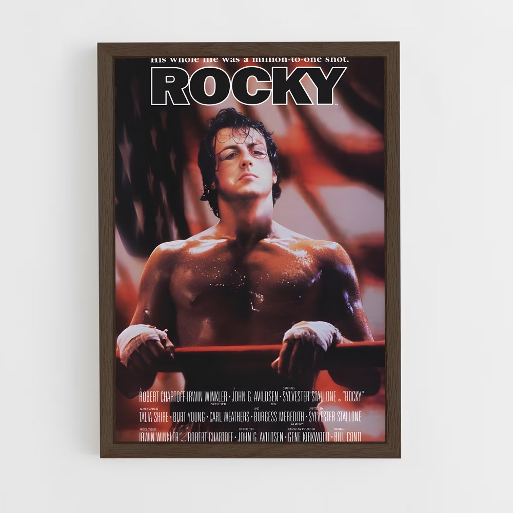ap-rocky-4 cadre Bois foncé