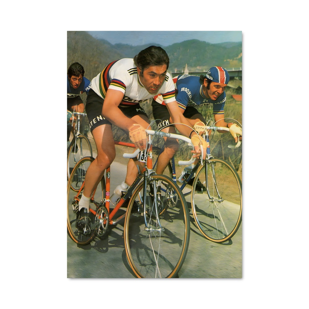 Poster Roger de vlaeminck 65411