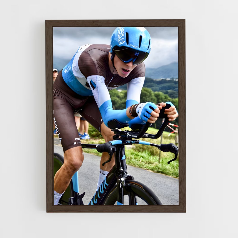 ap-romain bardet-2 cadre Bois foncé