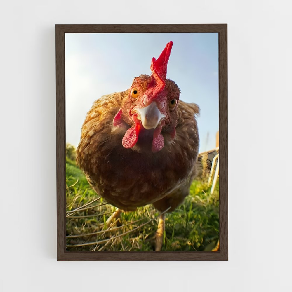 ap-rooster-3 cadre Bois foncé