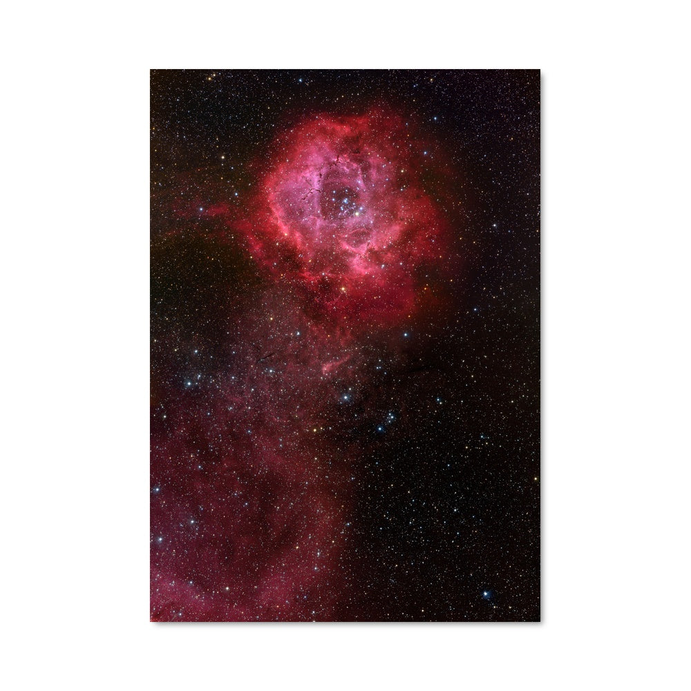 Poster Nebuleuse Rosette