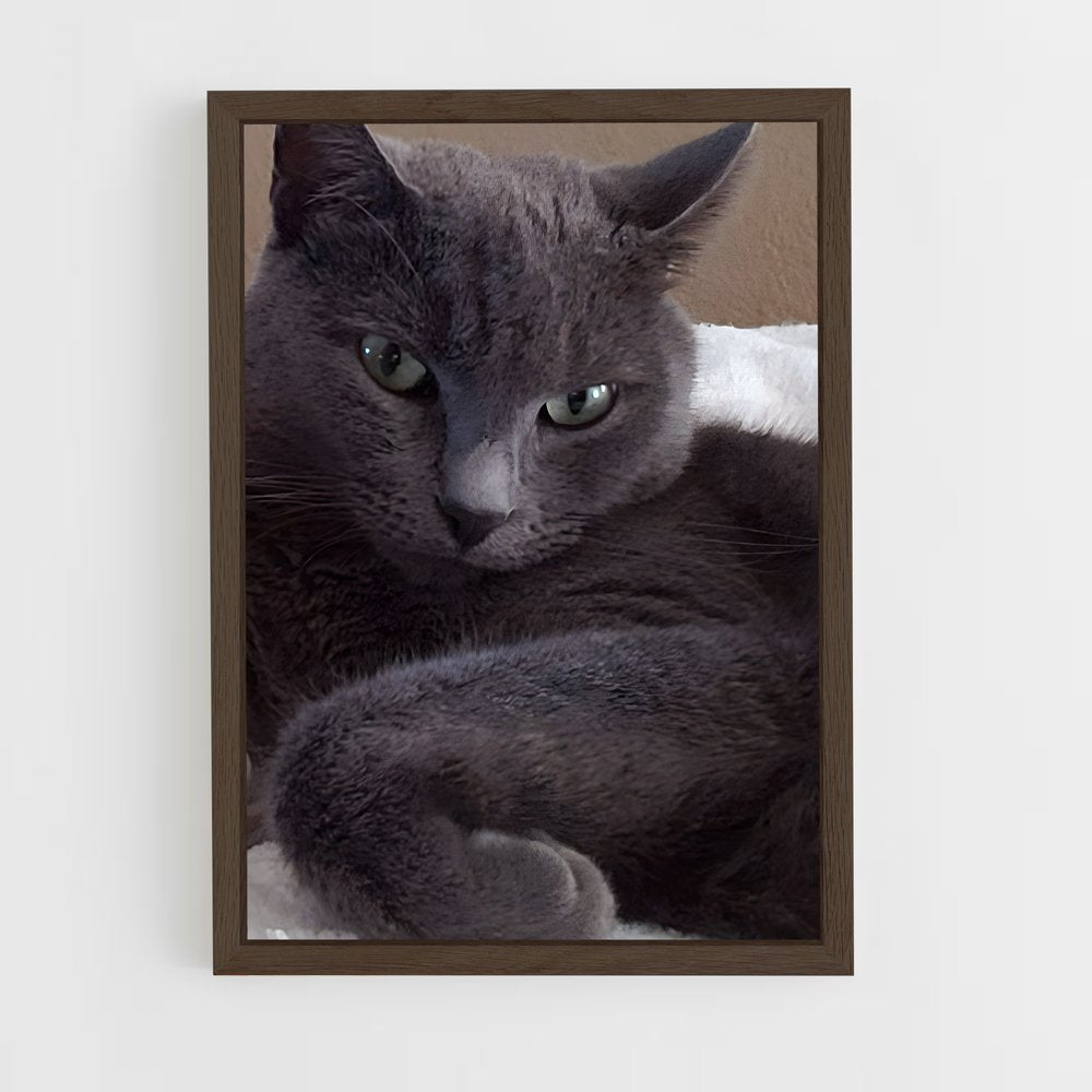 ap-russian blue-3 cadre Bois foncé