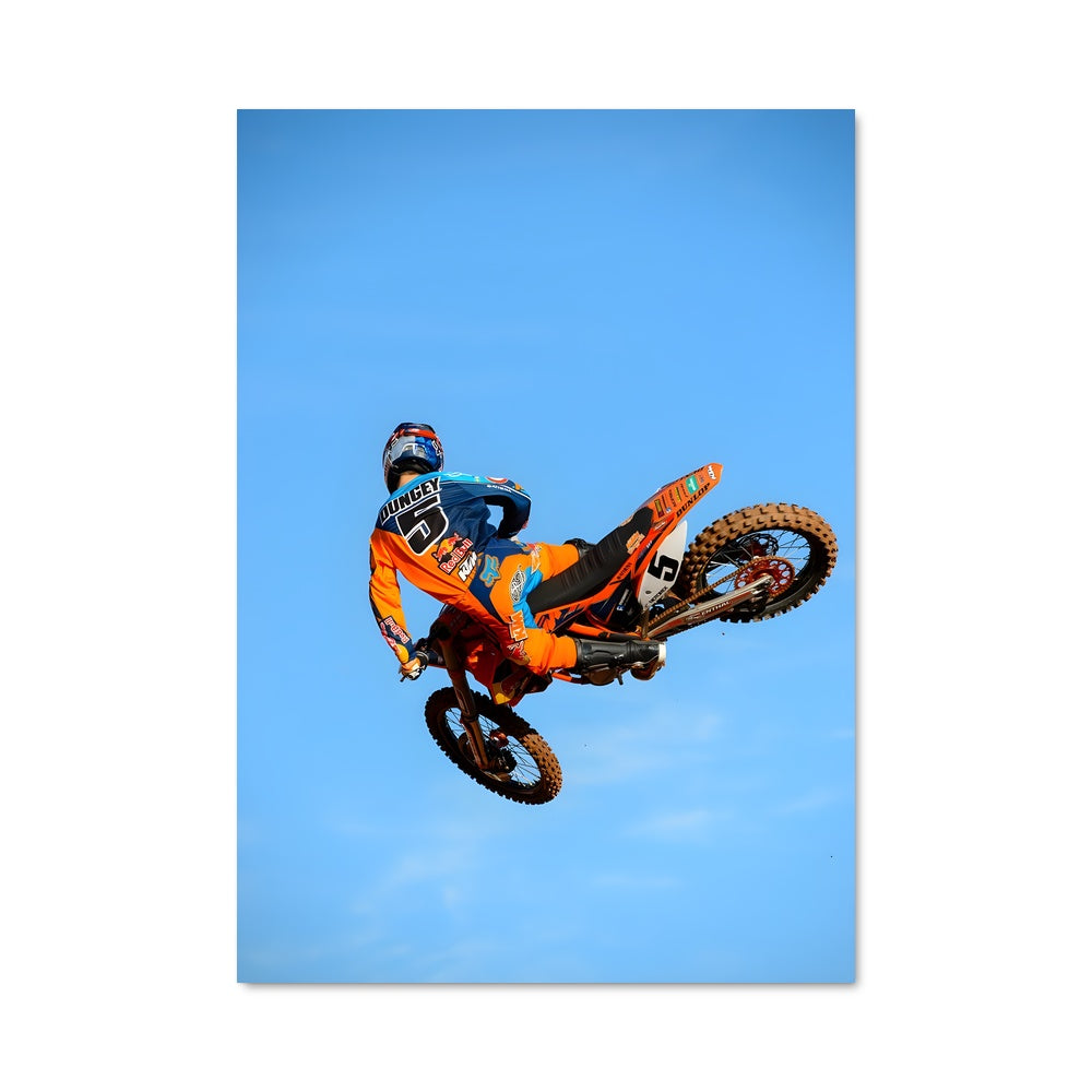 Poster Freestyle Dungey