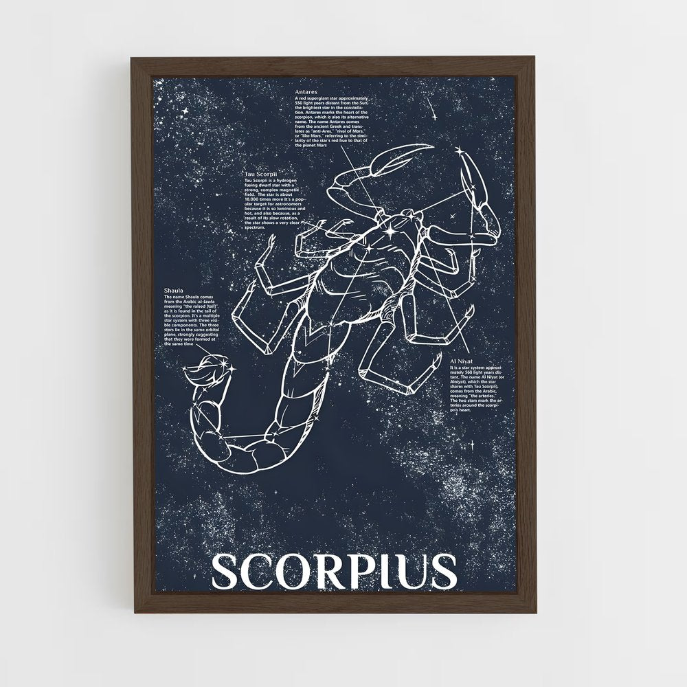 ap-scorpius-1 cadre Bois foncé