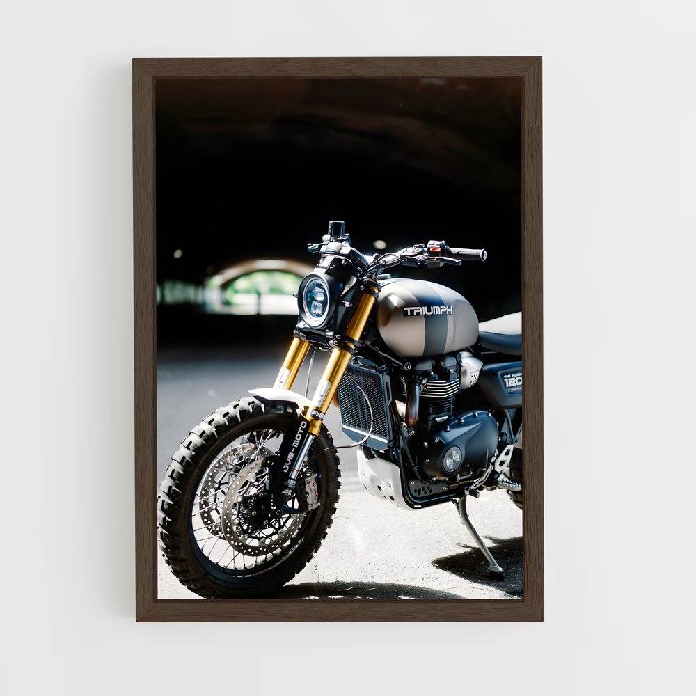 ap-scrambler 1200-1 cadre Bois foncé