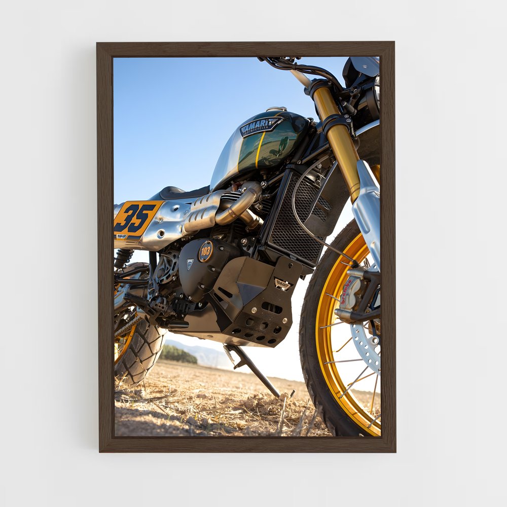 ap-scrambler 1200-6 cadre Bois foncé