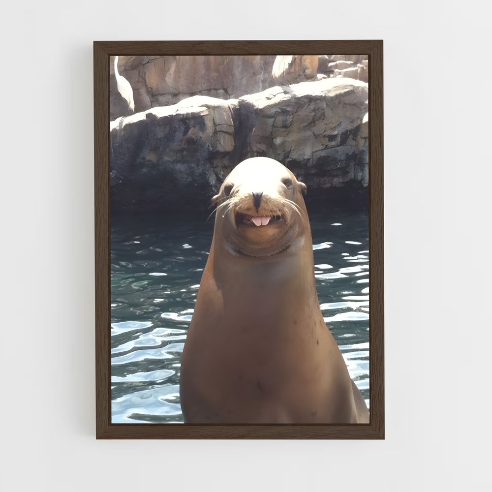 ap-sea lion-5 cadre Bois foncé