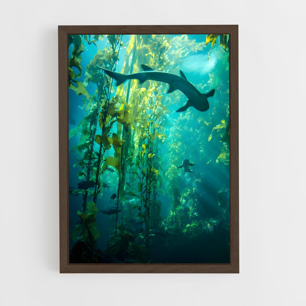 ap-seaweed-7 cadre Bois foncé