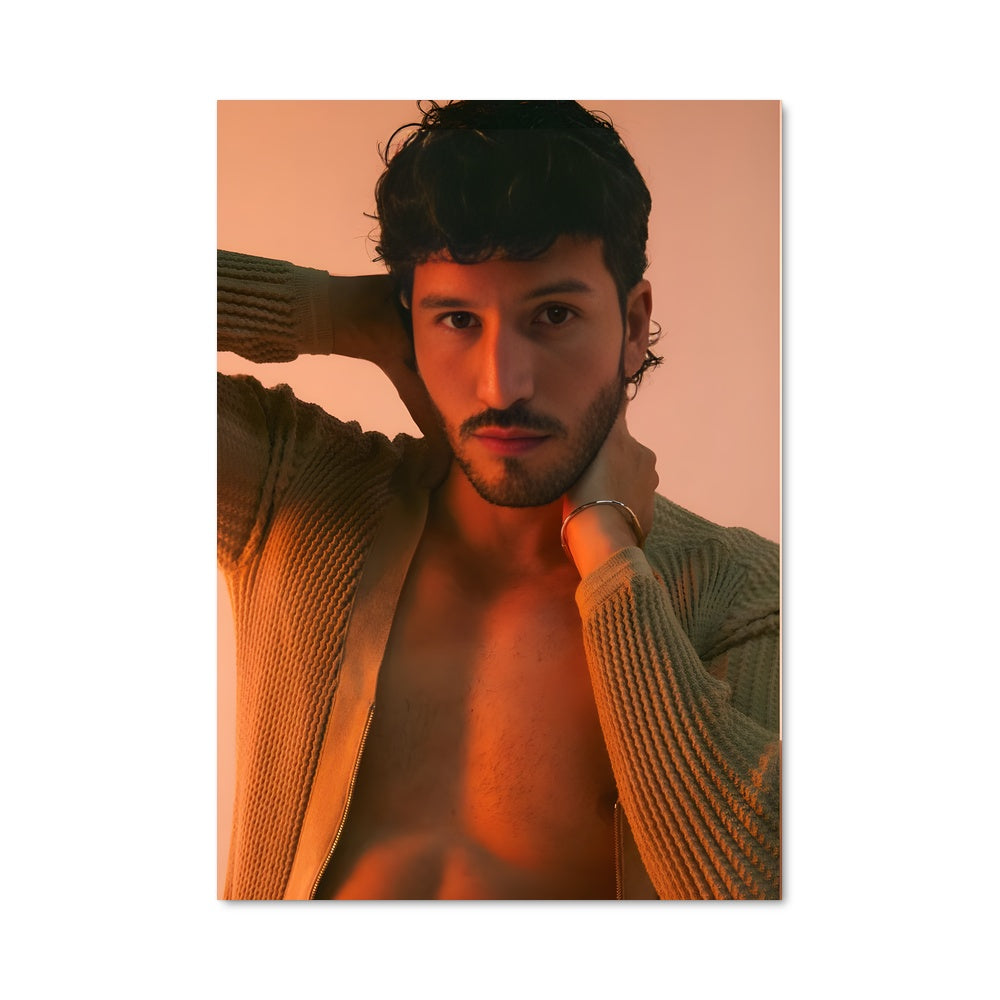 Poster Musique Sauvage