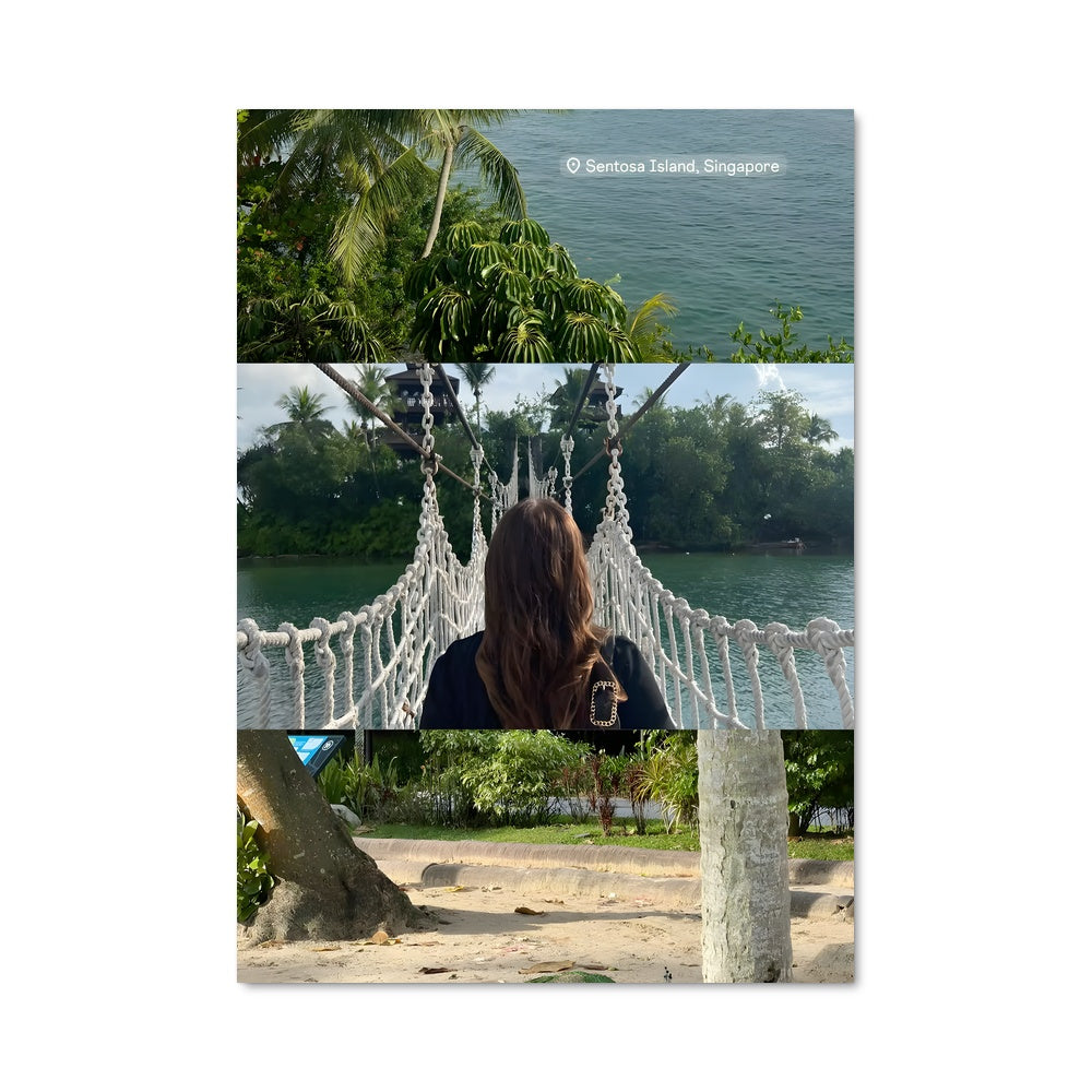 Poster Symphonie des Plumes