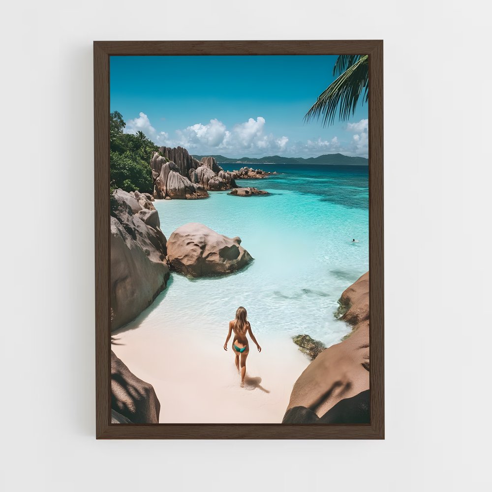 ap-seychelles islands-5 cadre Bois foncé