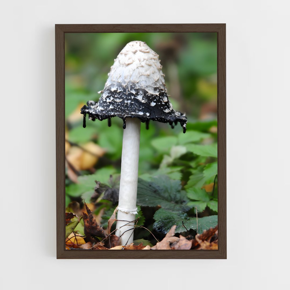 ap-shaggy ink cap-1 cadre Bois foncé