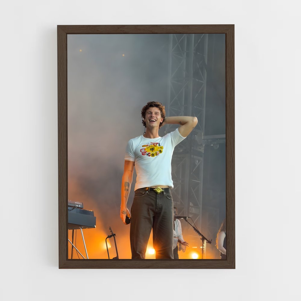 ap-shawn mendes-3 cadre Bois foncé