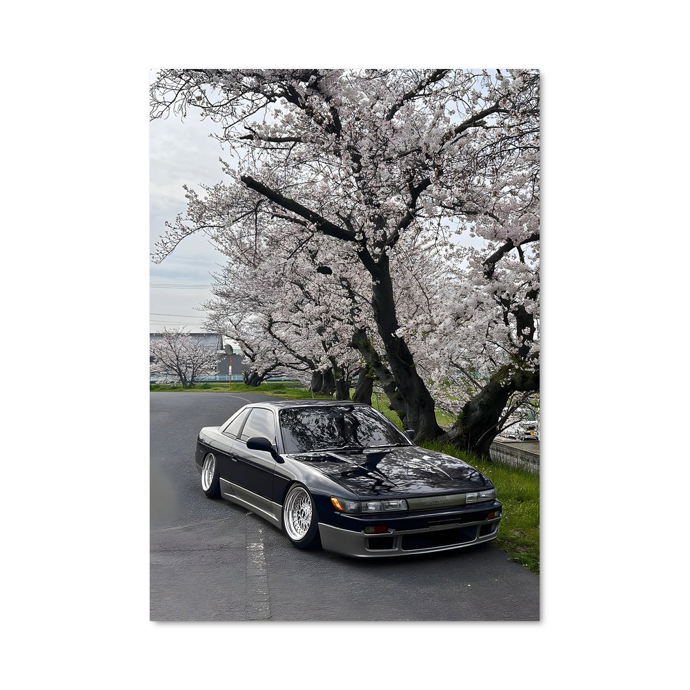 Poster Silvia s13 78946