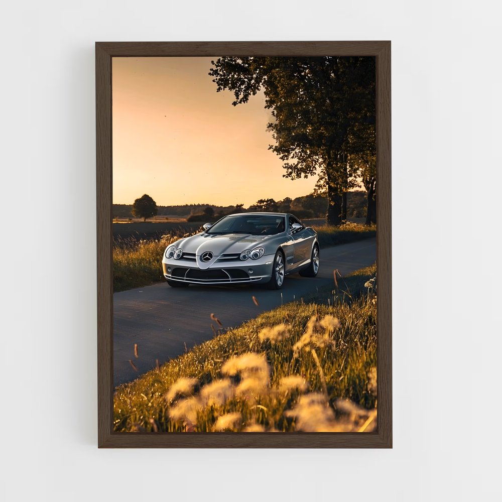 ap-slr mclaren-2 cadre Bois foncé