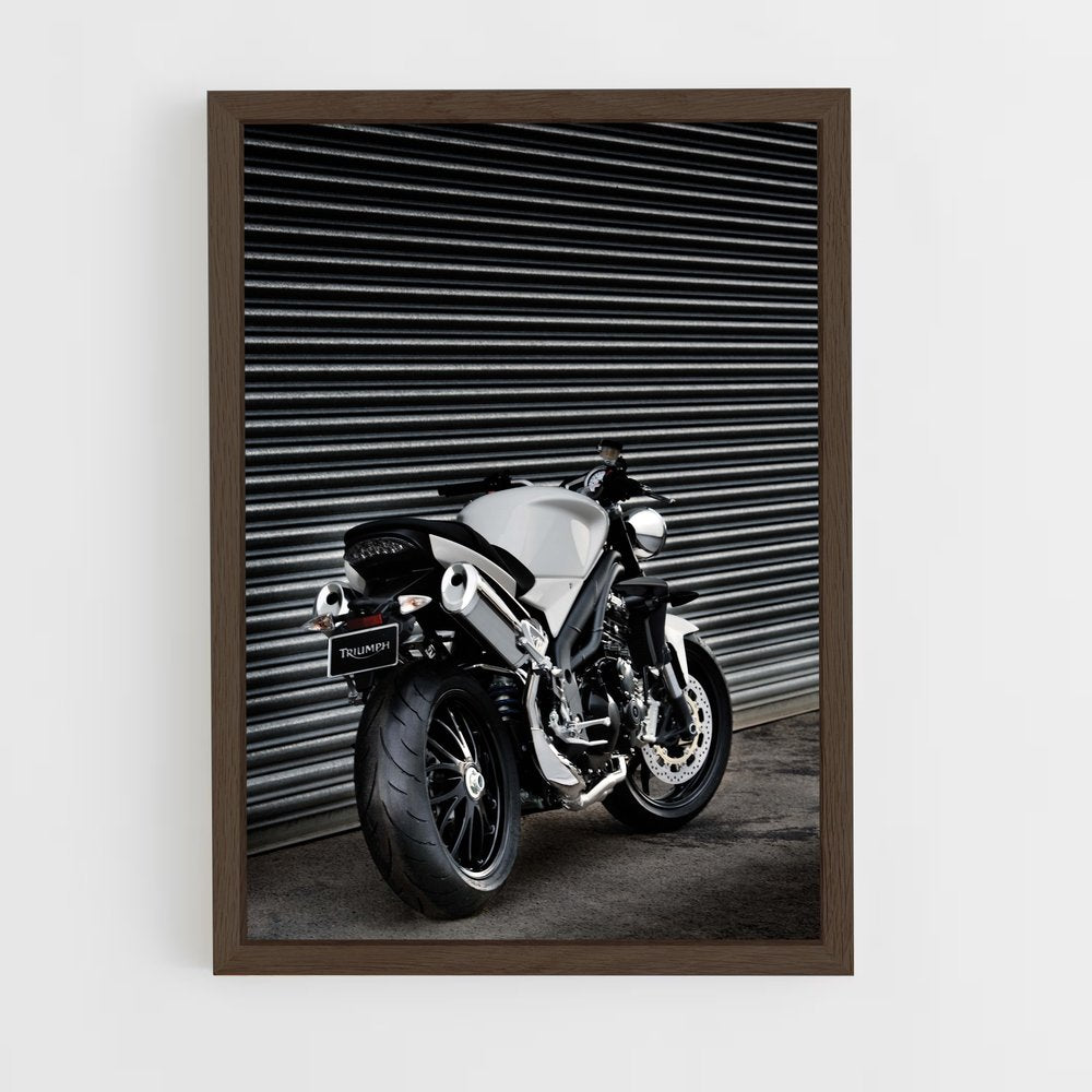 ap-speed triple-2 cadre Bois foncé
