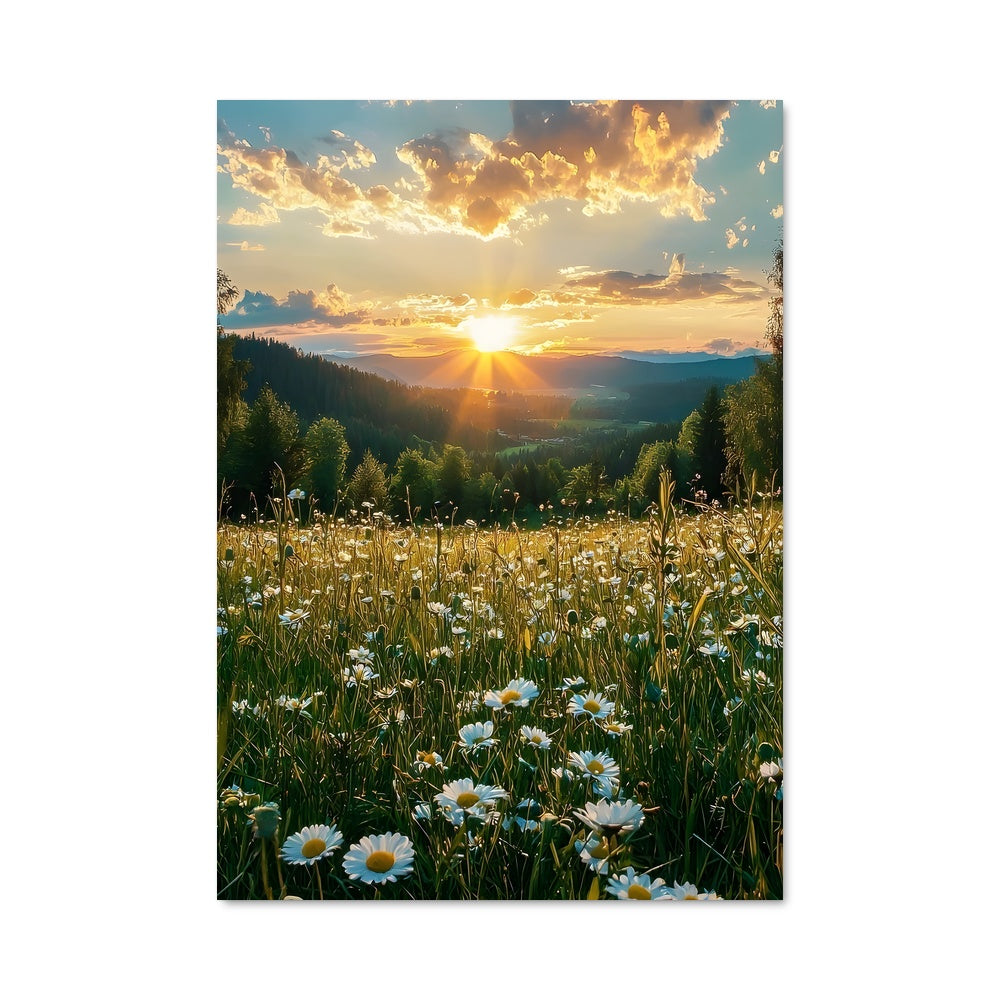 Poster Champ de Pâquerettes