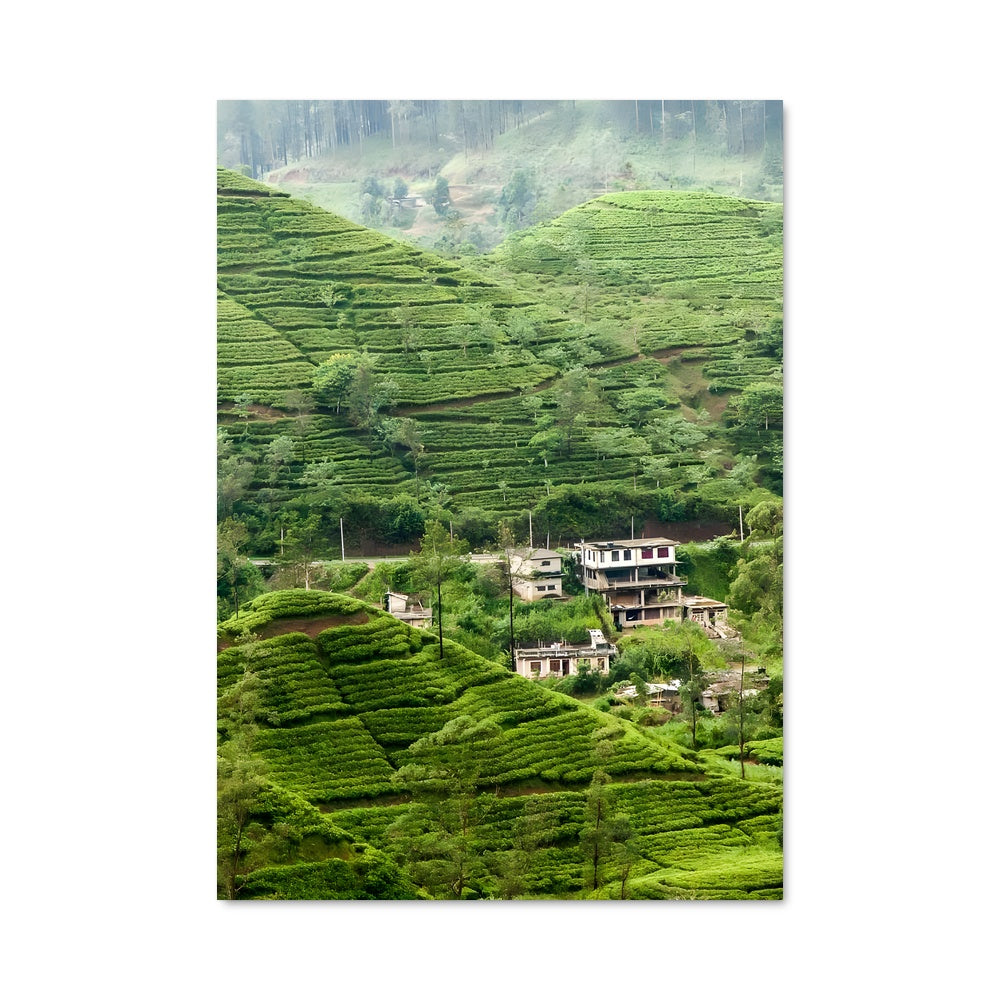 Poster Tea House Serenity