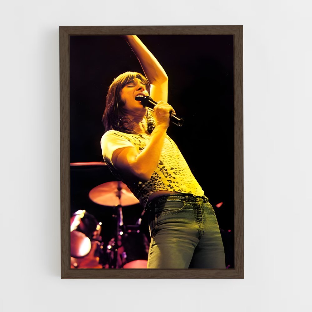 ap-steve perry-2 cadre Bois foncé