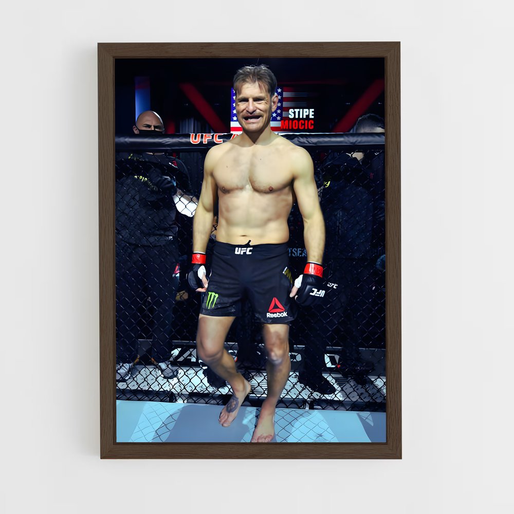 ap-stipe miocic-7 cadre Bois foncé
