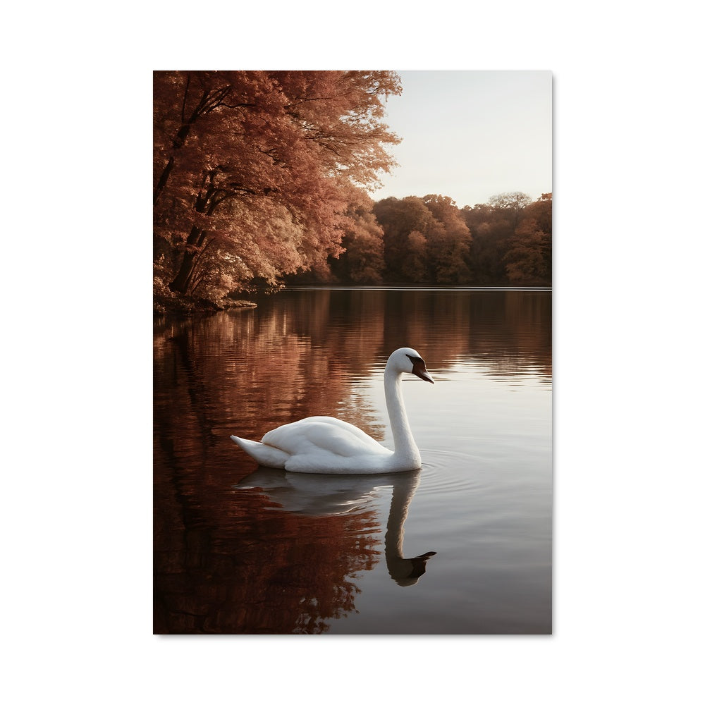 Poster Swan 84463