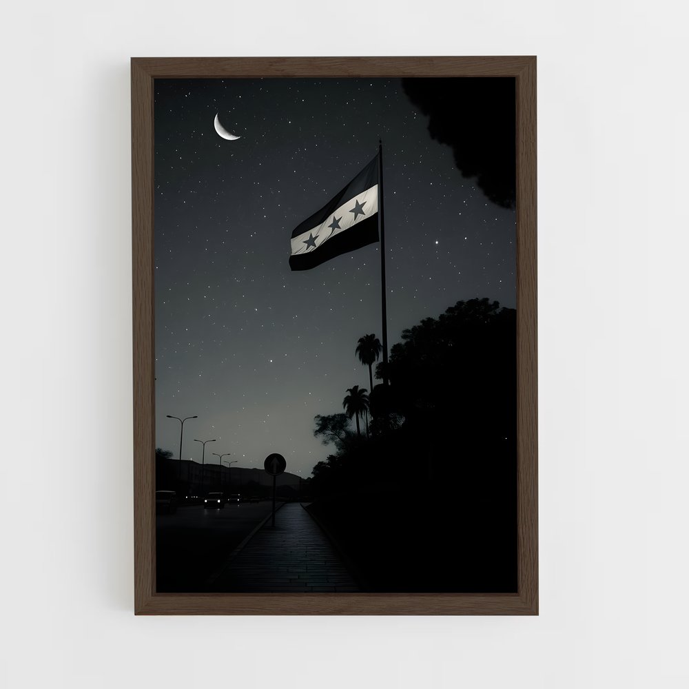 ap-syria flag-9 cadre Bois foncé