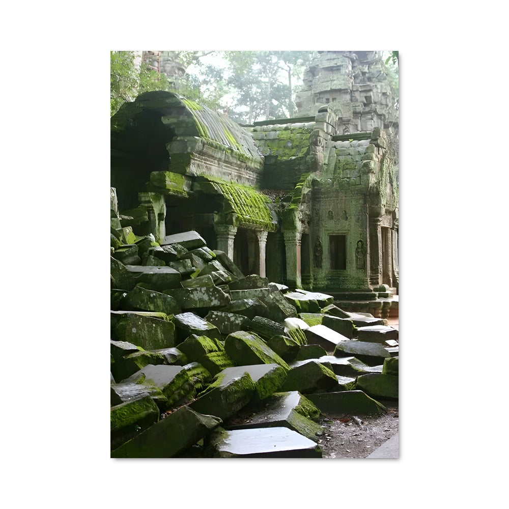 Poster Ta prohm 87756