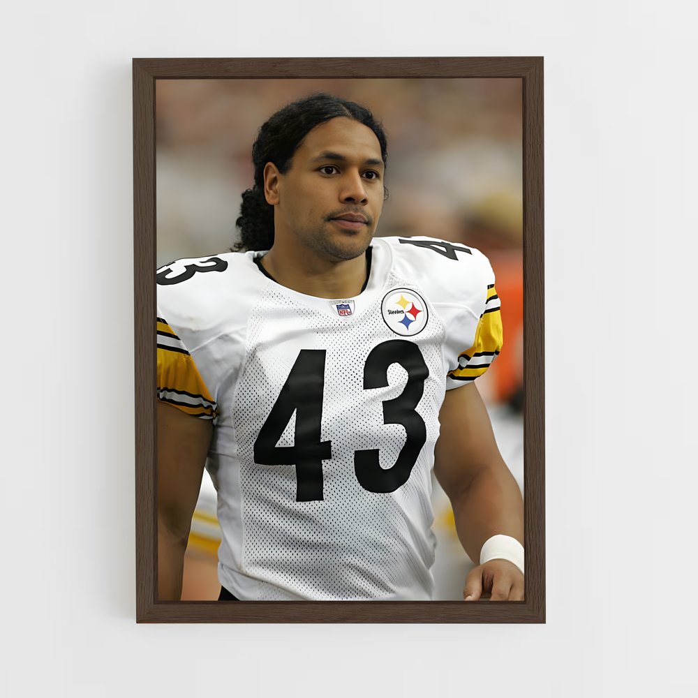 ap-troy polamalu-3 cadre Bois foncé