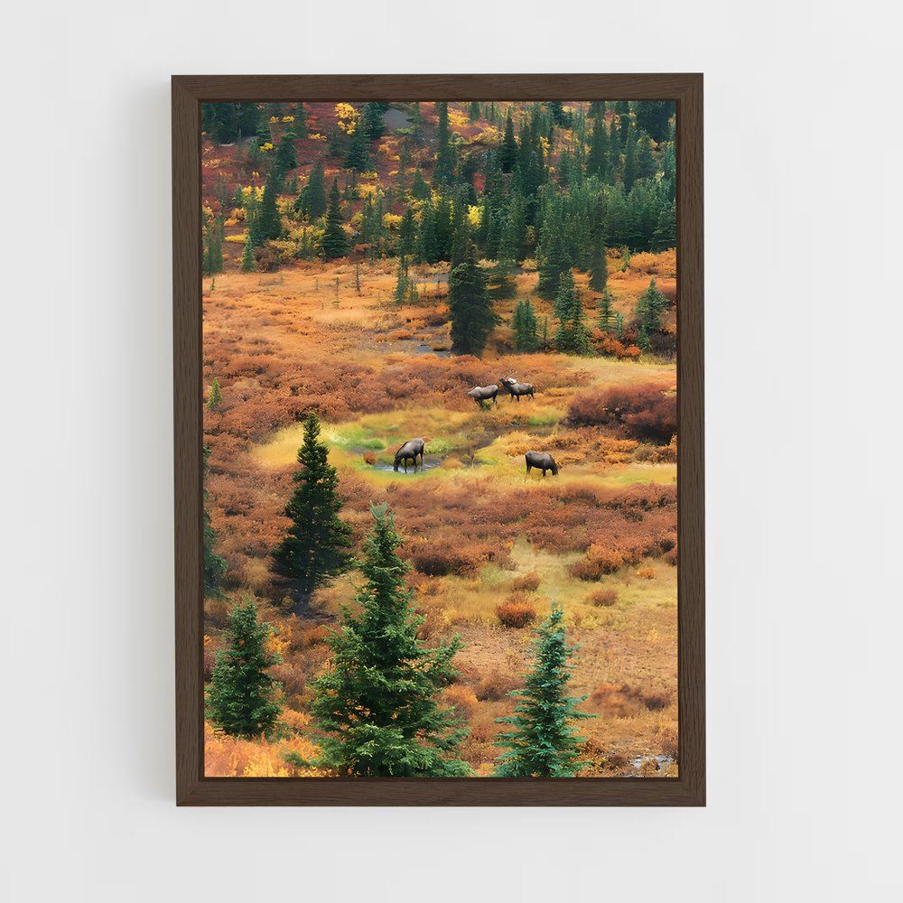 ap-tundra-9 cadre Bois foncé