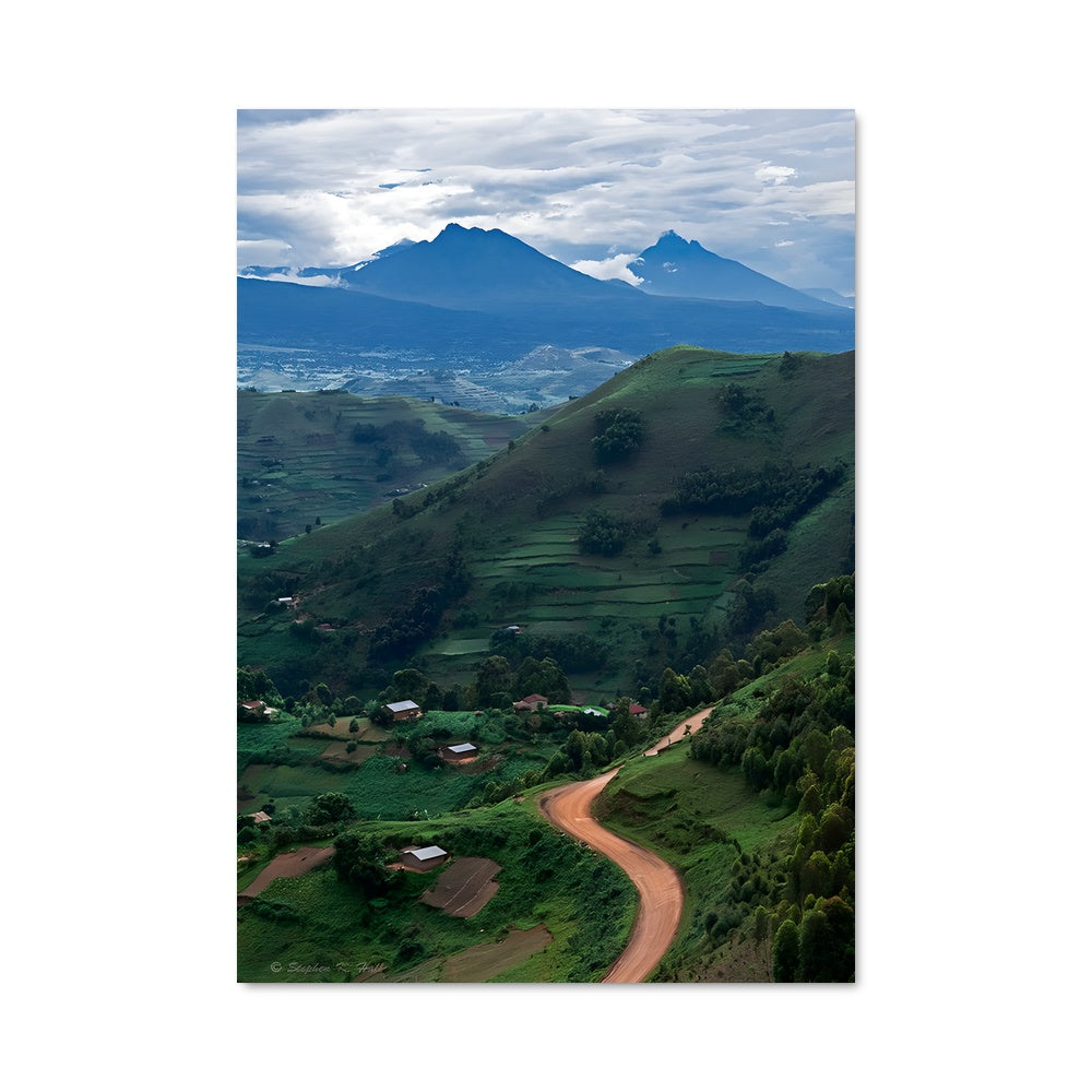 Poster Chemin Verdoyant