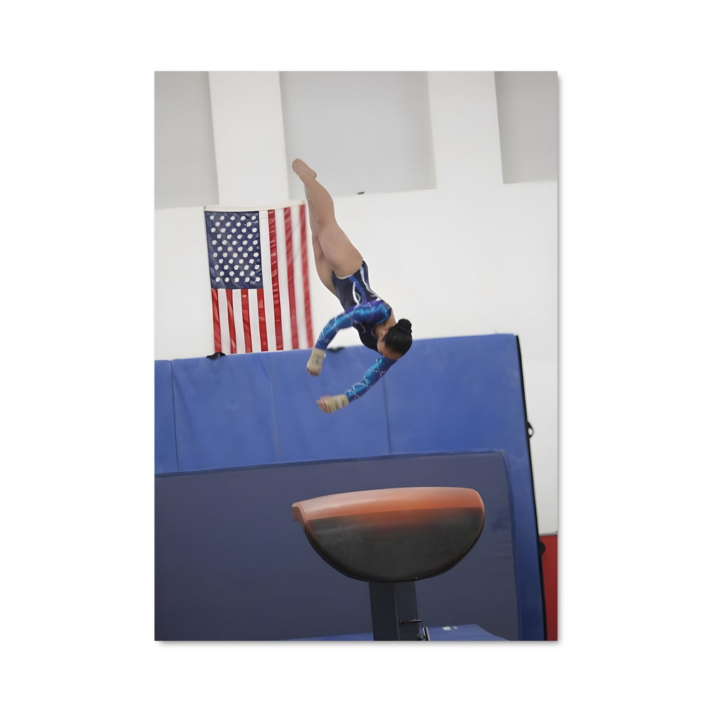 Poster Vault gymnastics 66695