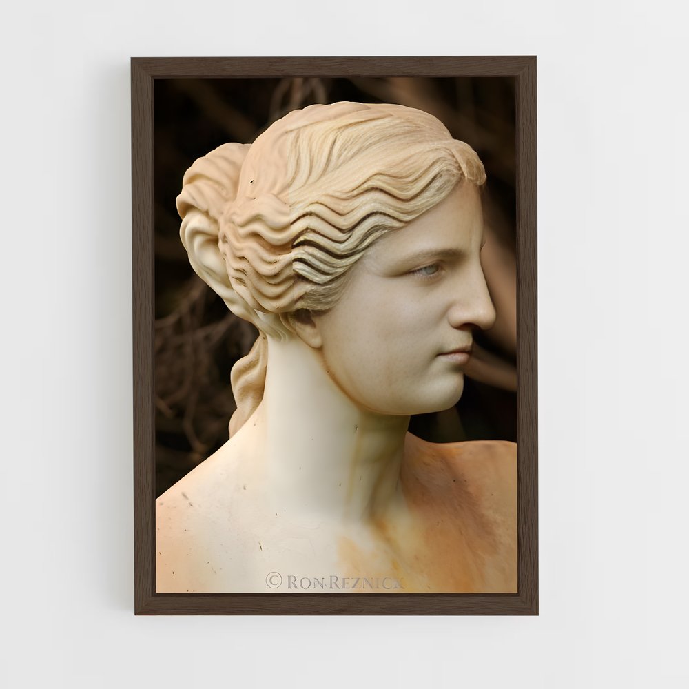 ap-venus de milo-6 cadre Bois foncé