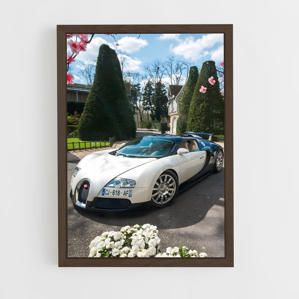 ap-veyron grand sport-3 cadre Bois foncé