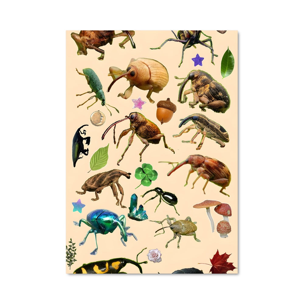 Poster Weevil 84577